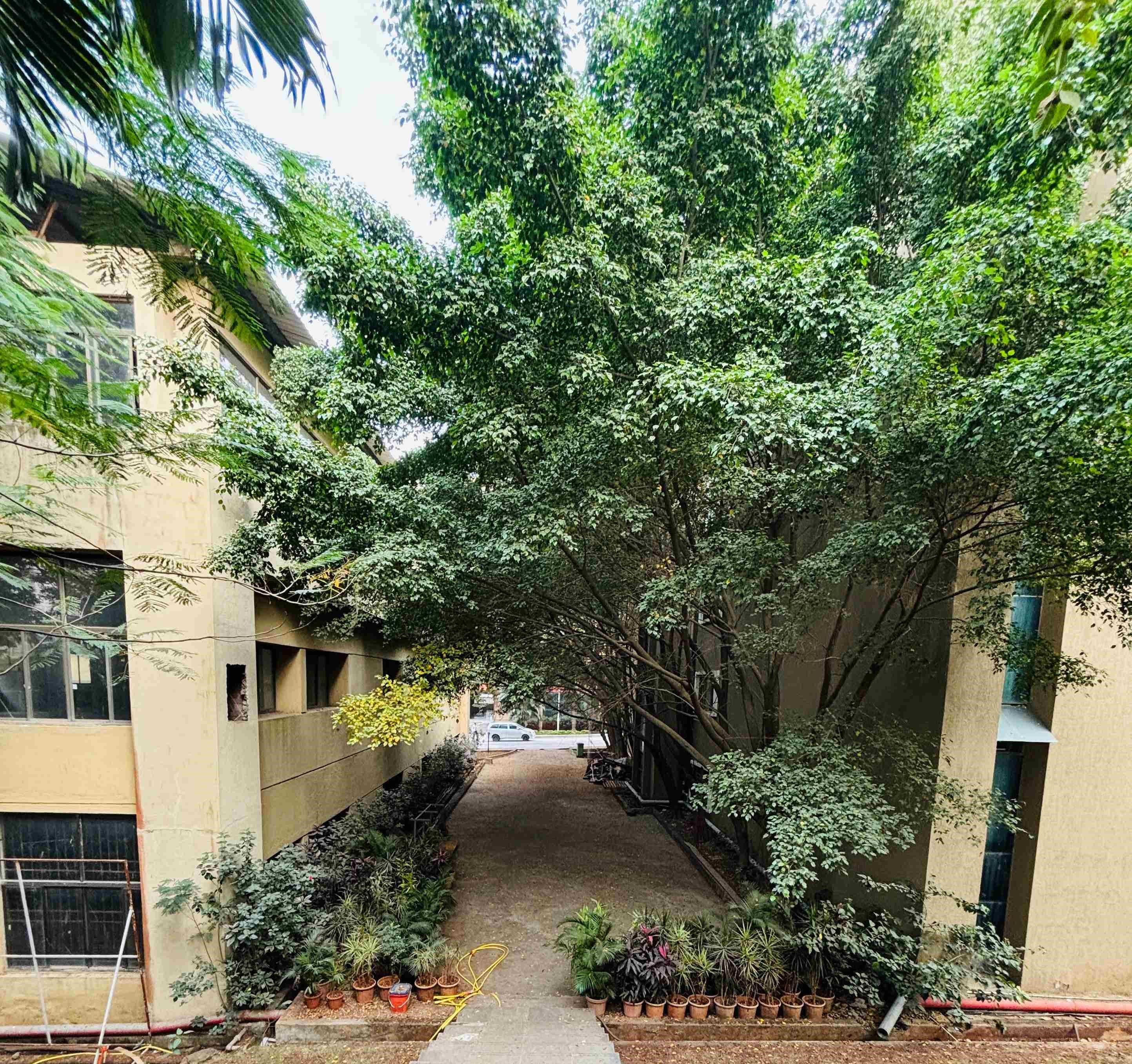 DY Patil University Pune Academic Building photo 21